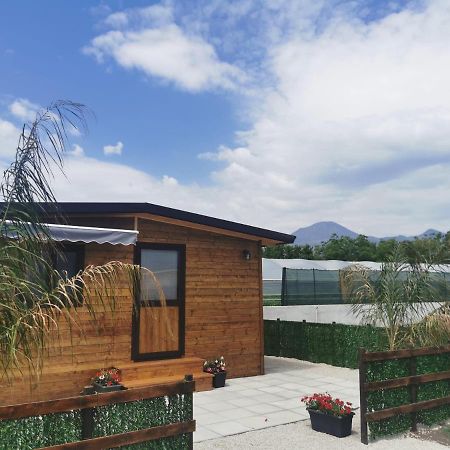 דירות בוסקוריאלה Vesuvius Chalet Relax מראה חיצוני תמונה
