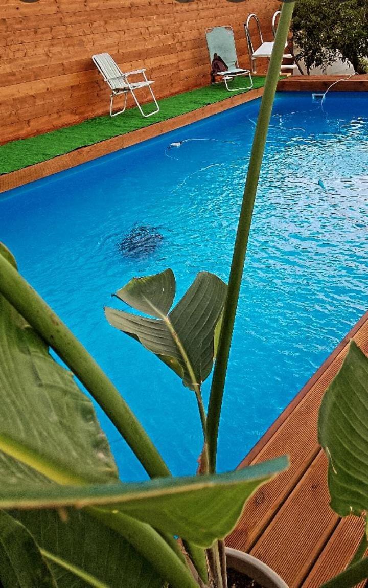 דירות בוסקוריאלה Vesuvius Chalet Relax מראה חיצוני תמונה